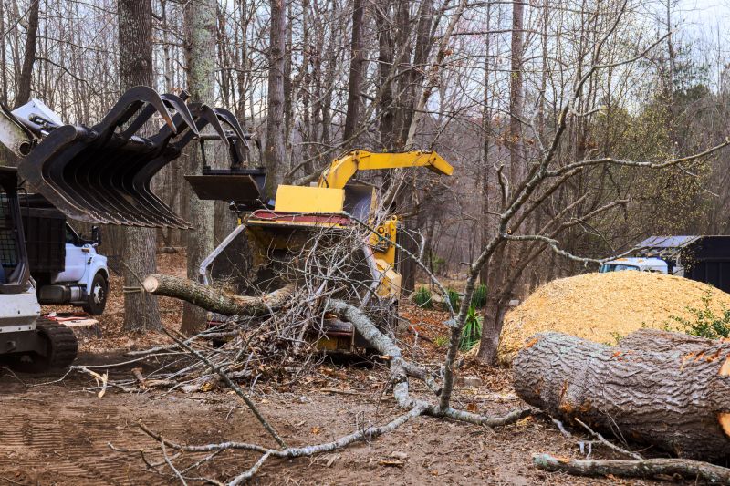 Tree Removal Equipment in Winter